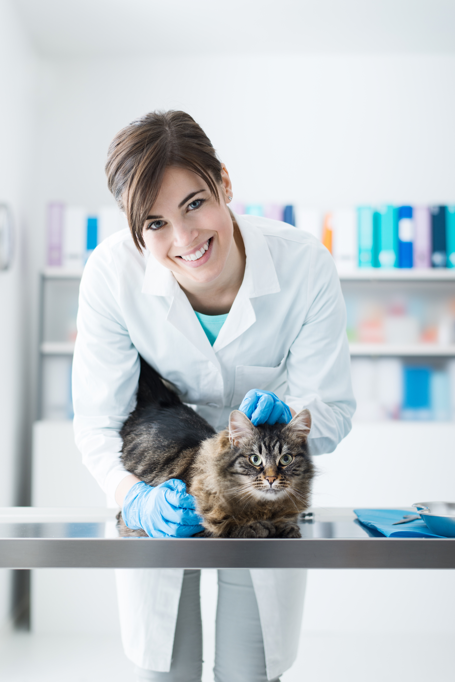 Veterinarian examining a cat on the surgical table, she is smiling at camera, pet care concept