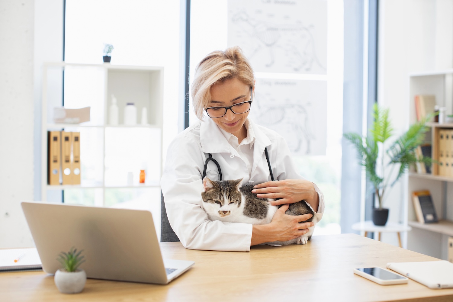Female adult veterinarian with stethoscope holding cat, working at modern desk, creating caring atmosphere.